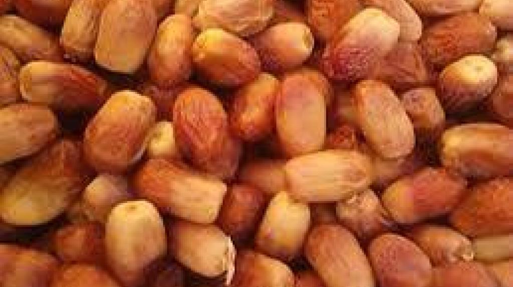 خرما زاهدی