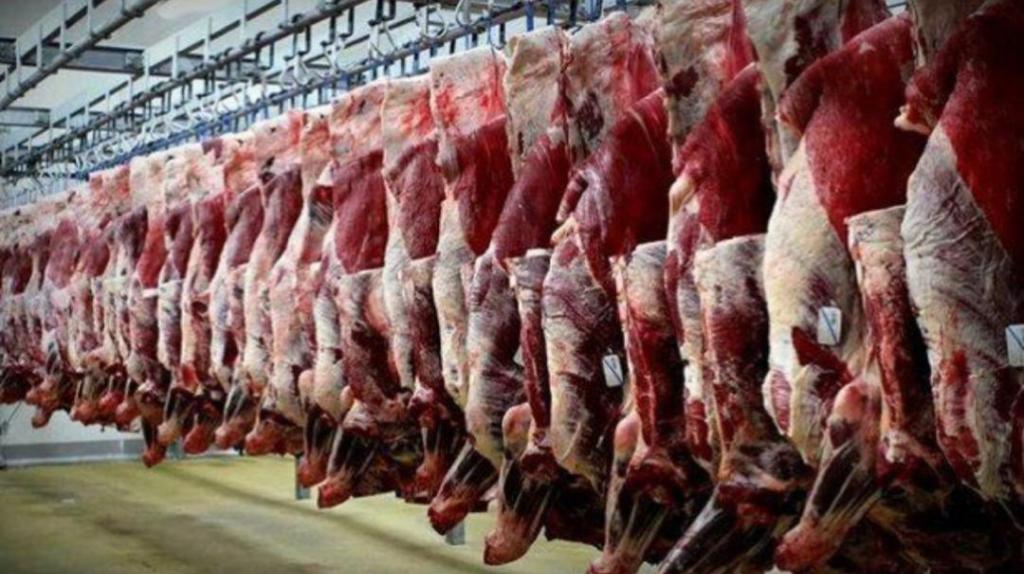آمادگی واردات گوشت